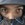 Avatar_photo