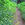 Picture_edited-1