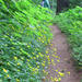 Picture_edited-1