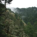 Ruckel Creek Canyon
