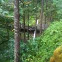 ponytail falls from above 