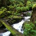 first half of epic horsetail creek crossing.  