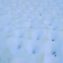 Strange snowmelt pattern