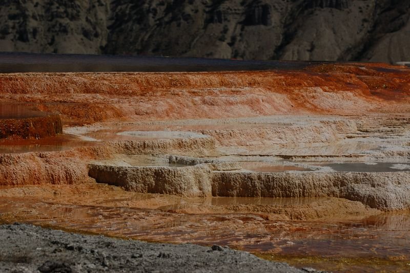 Small sections of Mammoth terraces were still colored with hot water-loving bacteria