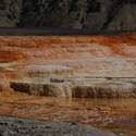 Small sections of Mammoth terraces were still colored with hot water-loving bacteria