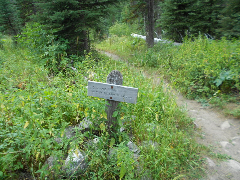 Junction off of West Wallowa Trail to Ice Lake