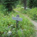 Junction off of West Wallowa Trail to Ice Lake