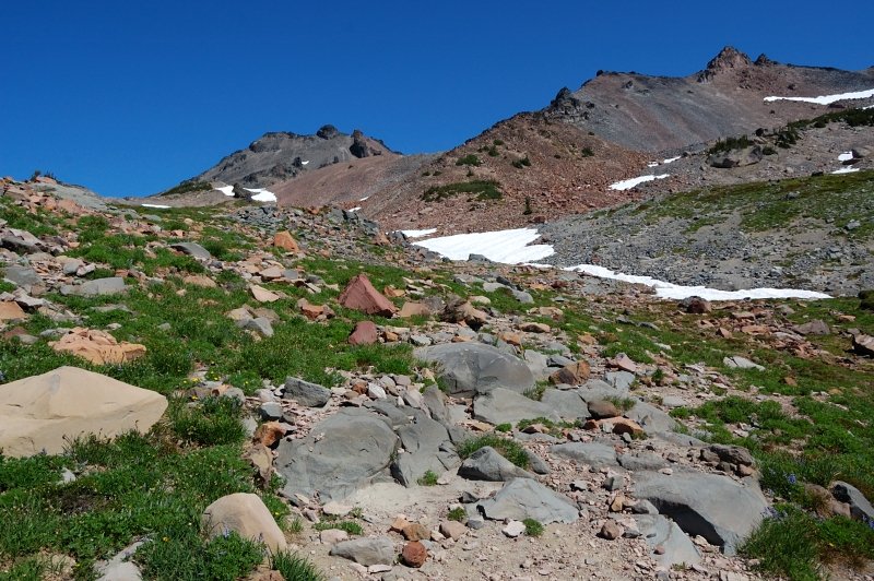 The place gets more alpine towards PCT High Point