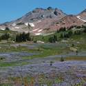 Old Snowy Mtn and Snowgrass Flats