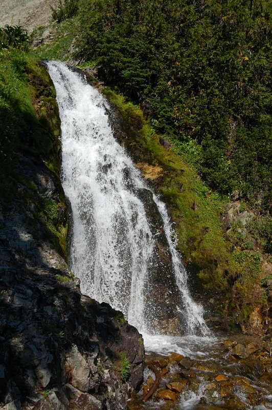 Trailside falls