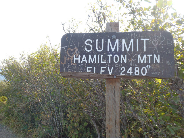 Ham summit