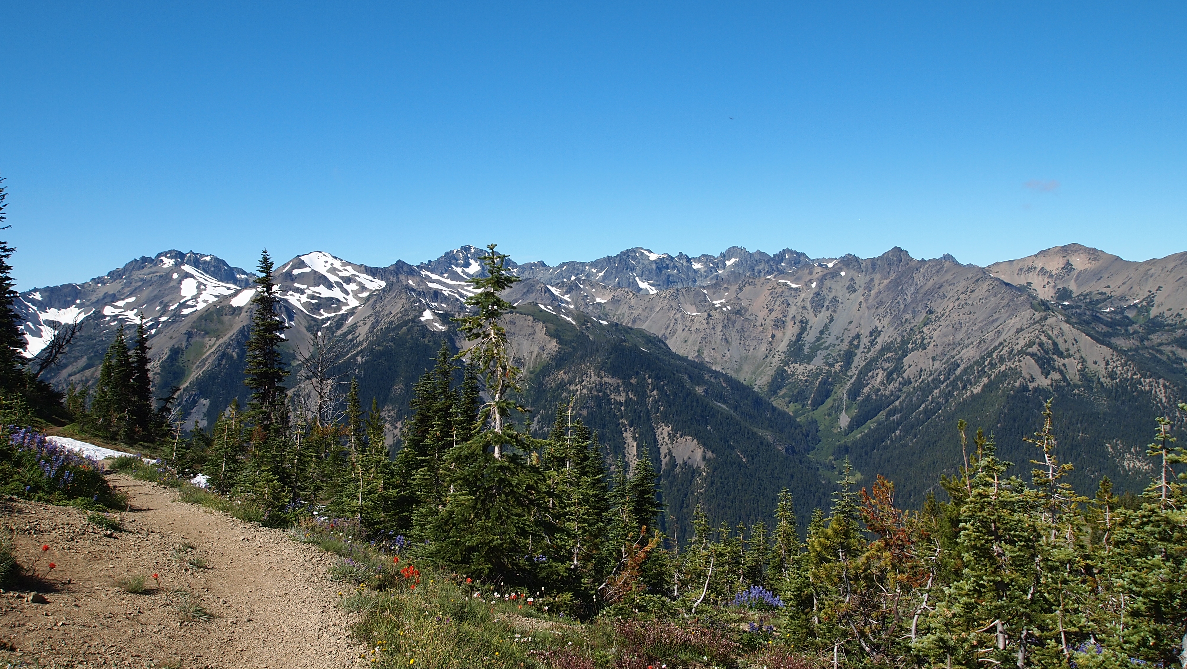 Marmot Pass Upper Big Quilcene Trail 08.31 09.02 Oregon Hikers