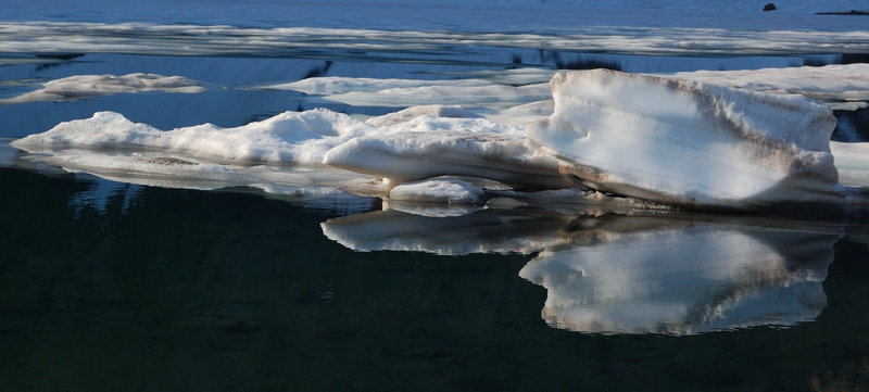 Icebergs on Goat Lake