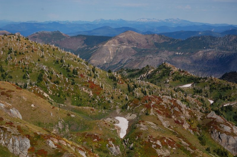 Goat Rocks can be seen on far background