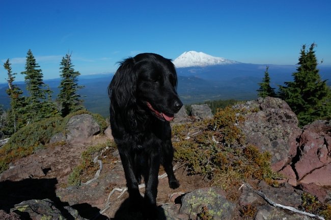 Pepper didn't want to pose on the summit this time