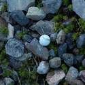 Lemei Rock is the golfing hub of the Indian Heaven! (well not so much, only one ball found but I read the story)