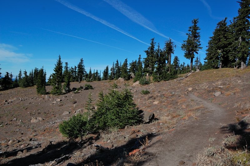 Timberline trail is still snow-free