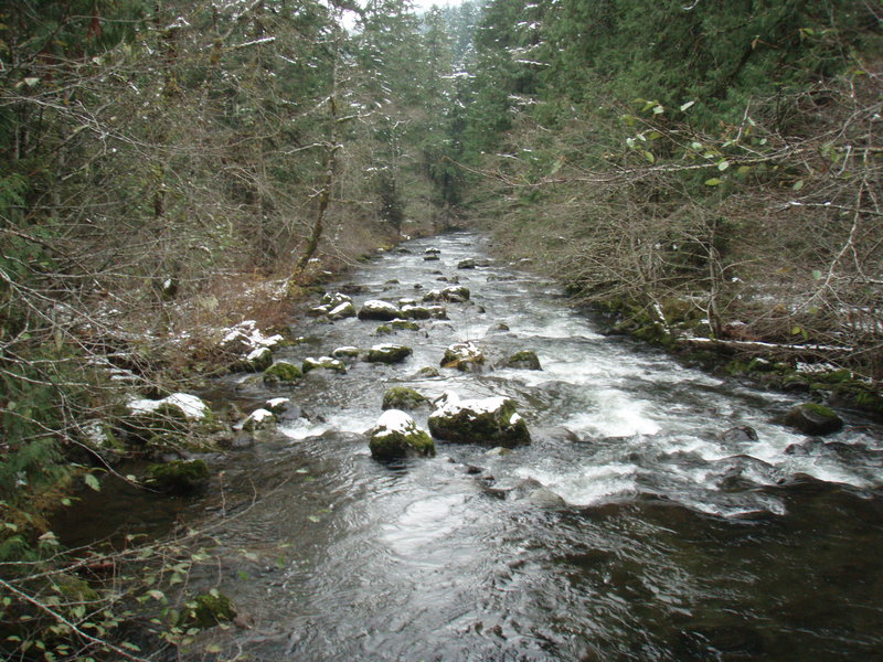 Trout Creek