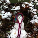 I loaned my wimpy snowman my hat for a photo