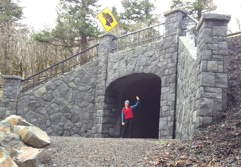 Cape Horn Tunnel
