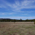Meadow at N Pillars trailhead