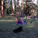 We stayed in a nice pine grove a mile short of Belknap junction