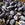 Mussels