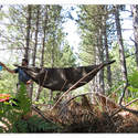 Cryothewild's hammock