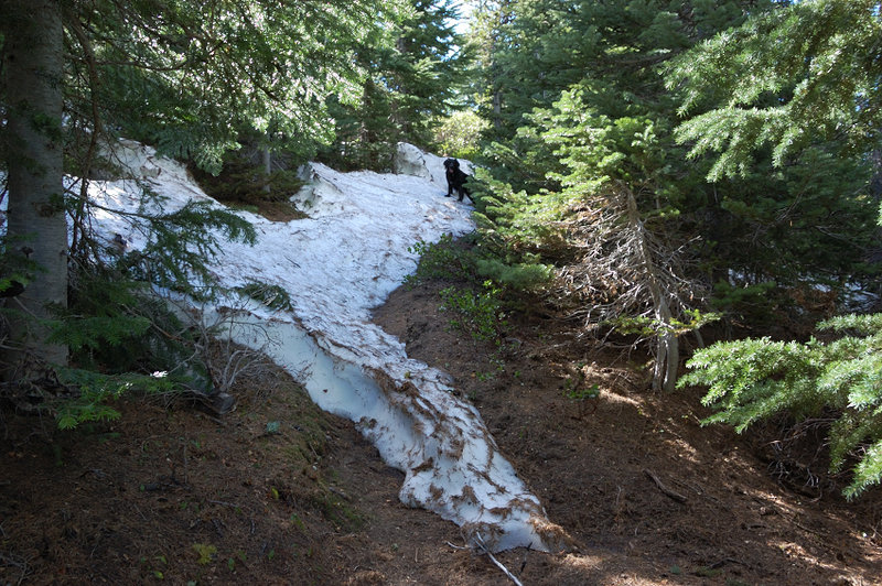 Snow drifts on Divide Trail