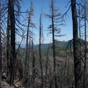 Burned area of Cathedral Ridge