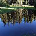 Reflection in one of many forest ponds
