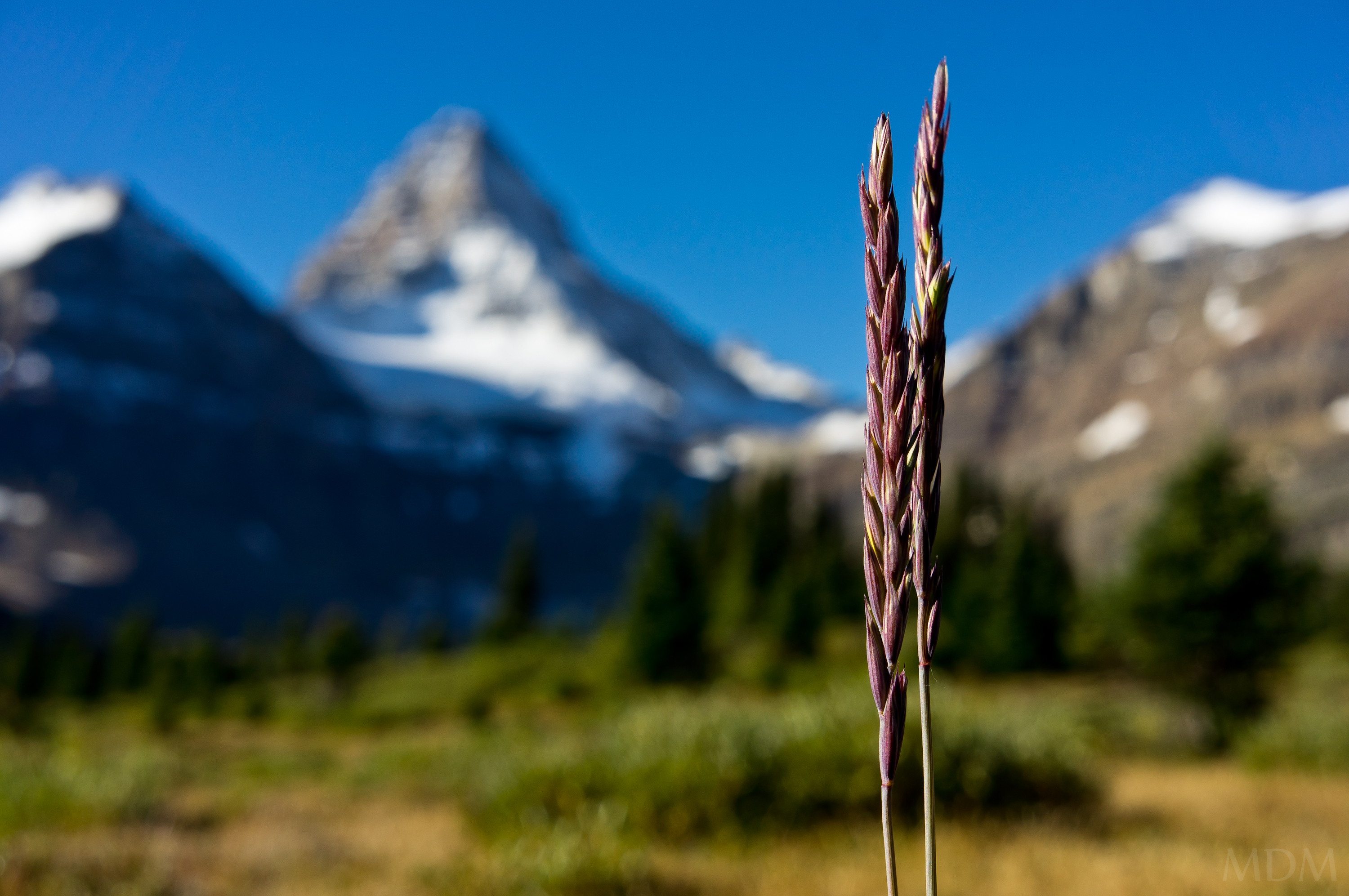 Colorado Rockies Blaze the HDR Trail With New Mountain-Size