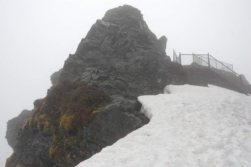 Sherrard Point (the summit of Larch Mt)