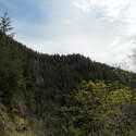 view of Kings MT ridge that holds the Kings trail, Kings JR might be in this as well
