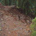 trail damage about 2 1/2 miles up 