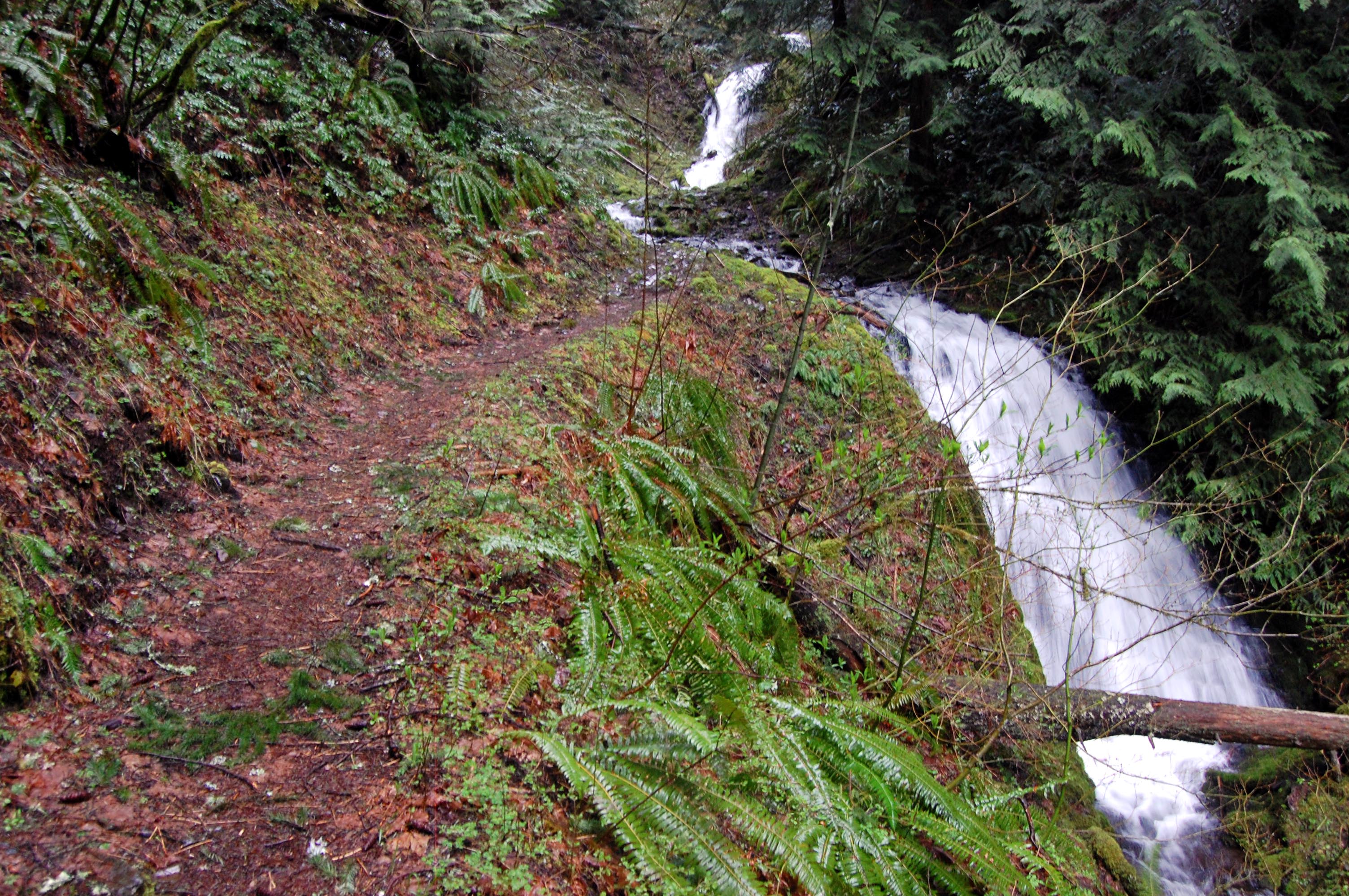 Tanner Ridge 4/16/11 - Oregon Hikers